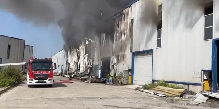 Tekirdağ’da fabrika yangını kontrol altına alındı