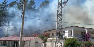 Marmaris’te orman yangını