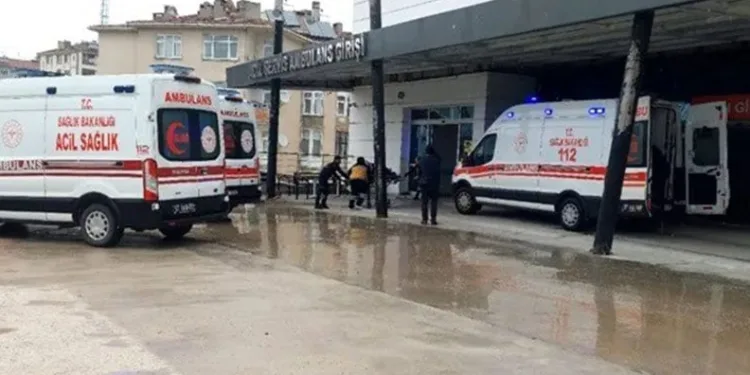 Sinop’ta mantar zehirlenmesi