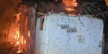 Köyde çıkan yangında 3 ev küle döndü