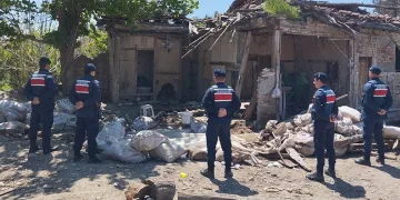 Kaçak kazı Roma mozağini ortaya çıkarttı