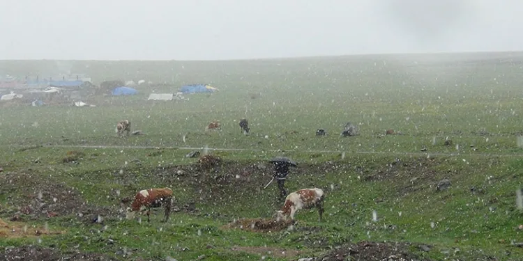 Kars’ta Mayıs karı şaşırttı
