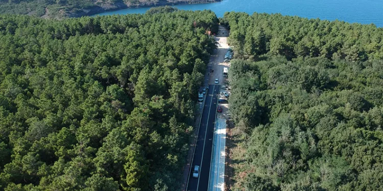 Sinop’ta ormanlara girişler yasaklandı