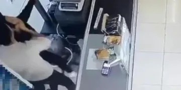 Bodrum’da kadın çalışana dehşeti yaşattı