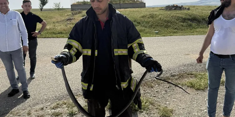 Batman’da tavan arasına giren yılan paniğe neden oldu