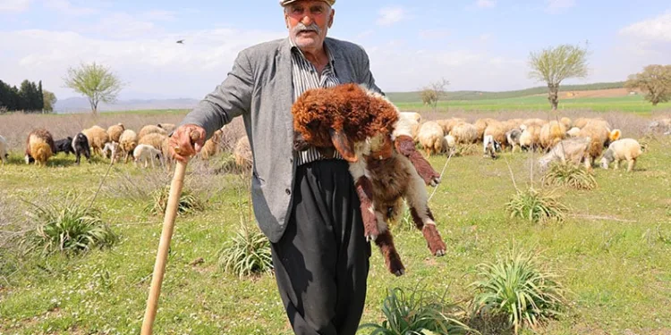 “Hayvancılık el işinden çok güzeldir”