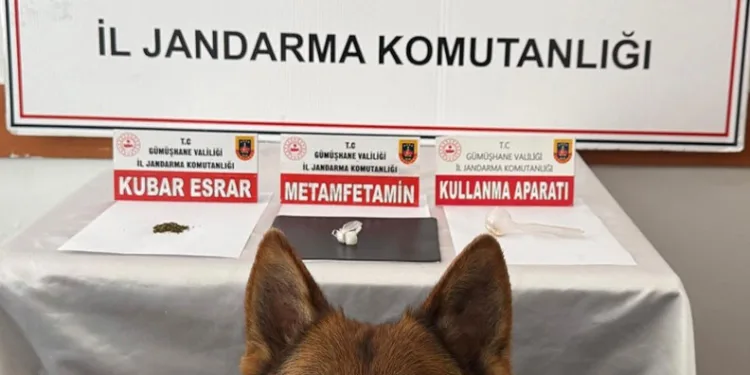 Gümüşhane’de uyuşturucu operasyonu