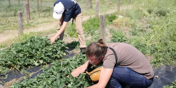 Fransa’dan gelip Nilüfer’in sağlıklı gıda politikalarını incelediler