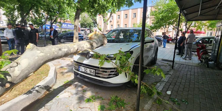 167 bin hanenin elektrik ihtiyacını karşılayacak enerji yatırımı hizmete açıldı