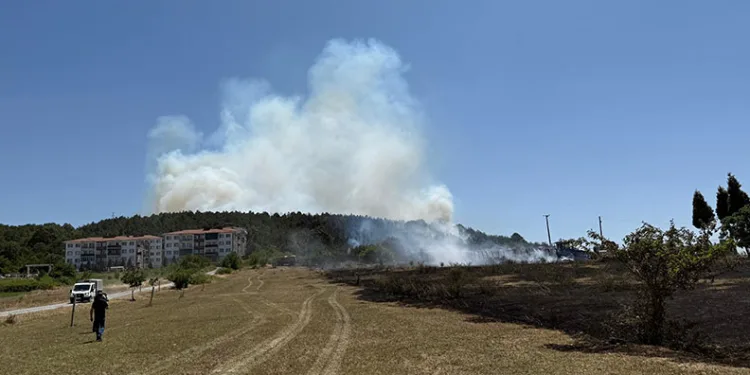 Sakarya’da depoda çıkan yangın ormana sıçradı