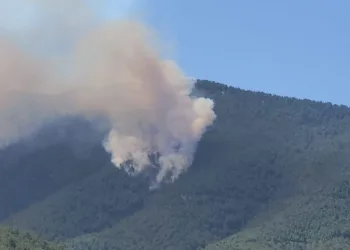 Hatay’da orman yangını