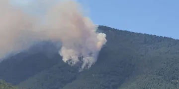 Hatay’da orman yangını