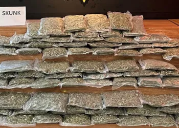 Şanlıurfa’da 35 kilo 250 gram uyuşturucu ele geçirildi