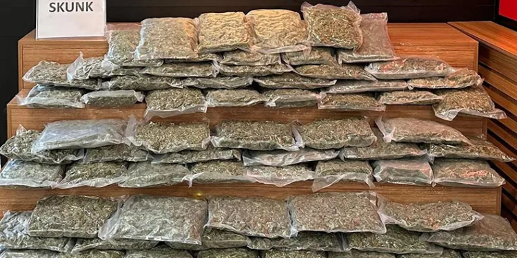 Şanlıurfa’da 35 kilo 250 gram uyuşturucu ele geçirildi