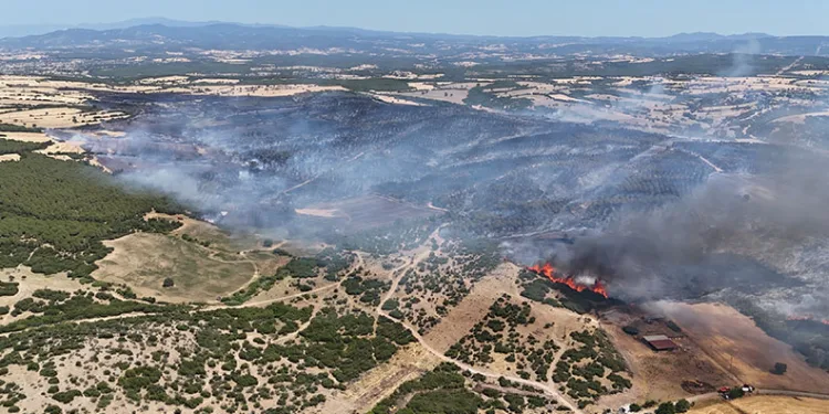 Ezine’deki yangında 287 futbol sahası büyüklüğünde alan zarar gördü