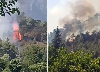 Köyceğiz’de orman yangını başladı