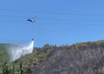 Kocaeli’de ağaçlık alanda çıkan yangın kontrol altına alındı