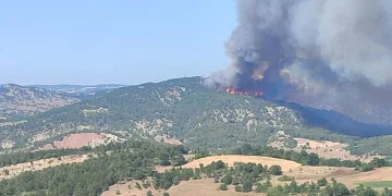 Bilecik’te başlayan orman yangını hızla büyüyor