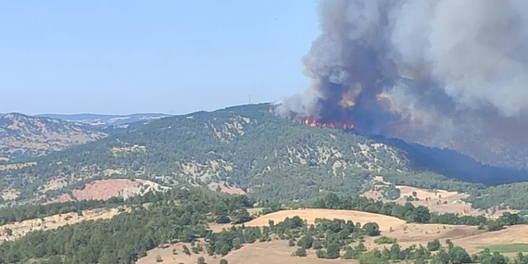 Bilecik’te başlayan orman yangını hızla büyüyor