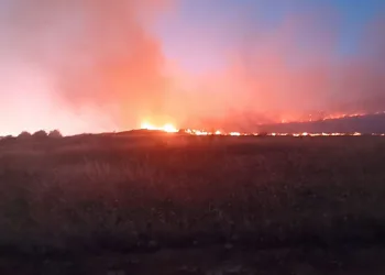 Mardin’de dağlık alanda çıkan yangın söndürüldü