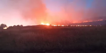 Mardin’de dağlık alanda çıkan yangın söndürüldü