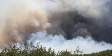 Sakarya’da orman yangını: 2 mahalle tahliye ediliyor