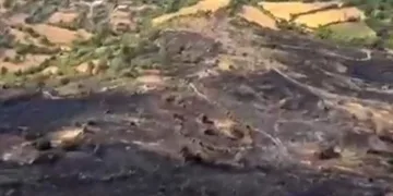 Balıkesir’de orman yangını kontrol altına alındı