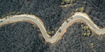 Bilecik’in ormanları siyaha büründü
