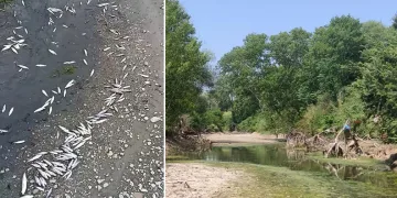 Çanakkale’de kuraklık çayı vurdu