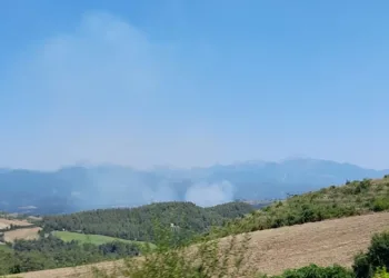 Osmaniye’de orman yangını başladı