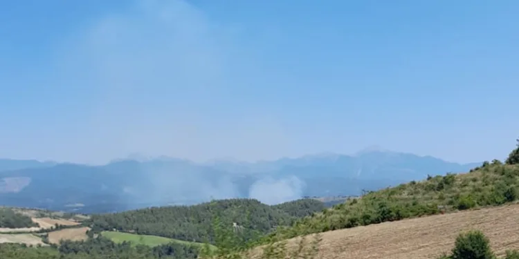 Osmaniye’de orman yangını başladı