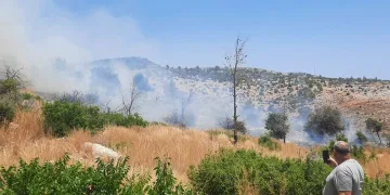 Silifke’de ağaçlık alanda çıkan yangın kontrol altına alındı
