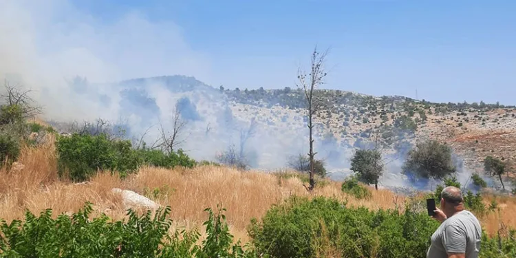 Silifke’de ağaçlık alanda çıkan yangın kontrol altına alındı