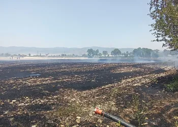 Burdur’da arazide çıkan yangında 10 dönüm anız, saman balyaları ve sulama boruları zarar gördü