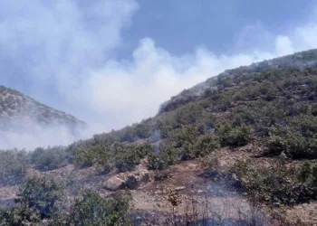 Mardin’de ormanlık alanda yangın