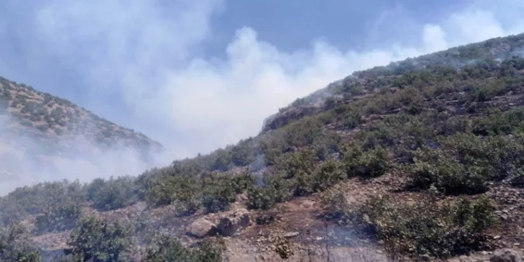Mardin’de ormanlık alanda yangın