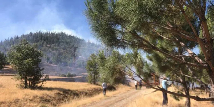 Kahramanmaraş’ta orman yangını