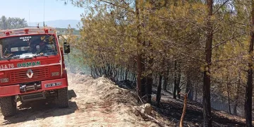 Mersin Mut’ta orman yangını