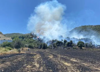 Osmaniye’de çıkan orman yangını söndürüldü
