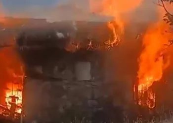 Bitlis’te çıkan yangın korkuya neden oldu