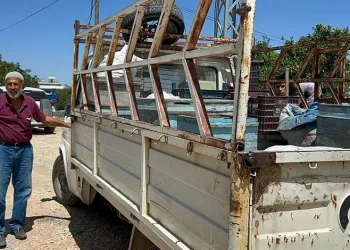 Alevlerin arasına arılarını kurtarmaya geldi