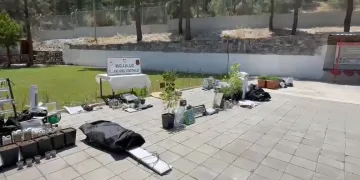 Muğla’da torbacı operasyonunda 43 tutuklama