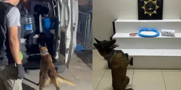 Edremit’te 3 kilo metamfetamin ele geçirildi: 2 kişi tutuklandı