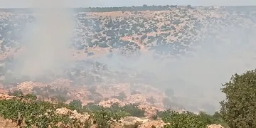 Gaziantep’te fıstık ve zeytin bahçelerinde yangın