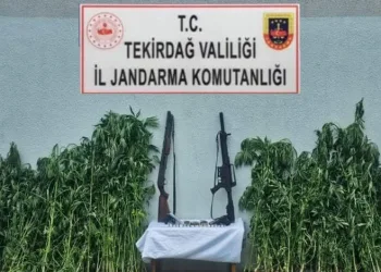 Tekirdağ’da jandarmadan uyuşturucu ve silah operasyonu