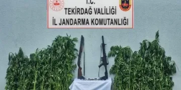 Tekirdağ’da jandarmadan uyuşturucu ve silah operasyonu
