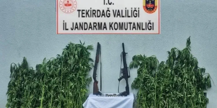 Tekirdağ’da jandarmadan uyuşturucu ve silah operasyonu