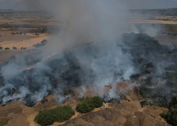 Ekili alanda çıkan yangın kısa sürede kontrol altına alındı