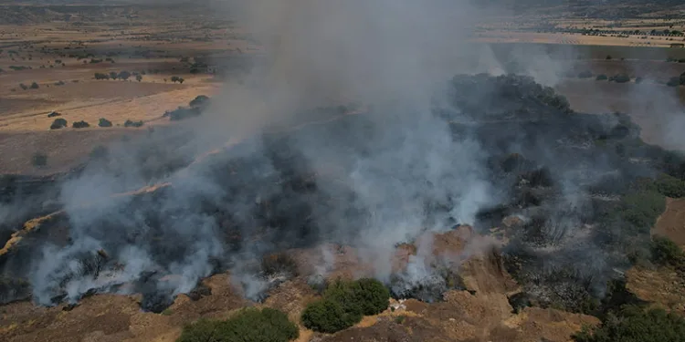 Ekili alanda çıkan yangın kısa sürede kontrol altına alındı