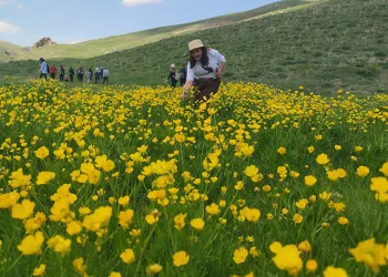 Van’daki doğa harikası kanyon keşfedilmeyi bekliyor